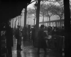 Image représentant Marché aux oiseaux