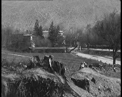 Image représentant Vieux quartiers, forêt dévastée