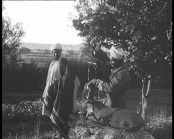 Image représentant Scènes rurales aux abords de la ville