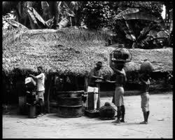 Image représentant Le commerce de l'huile de palme