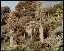 Image représentant Essais de couleurs