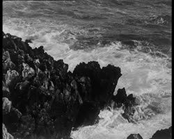 Image représentant Au Cap Martin