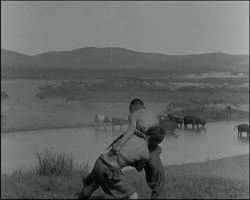 Image représentant Lutteurs dans la steppe