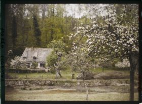 Image représentant Maison à colombages et pommiers