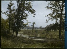 Image représentant France, La Harazée, Vue prise du ravin du Gros Hêtre vers l'est au fond, le bois de Bolante