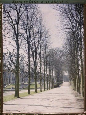 Image représentant L'allée de la Carrière dans le petit parc