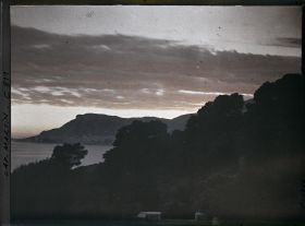 Image représentant Ligne arborée près de la villa Kahn, dite villa Zamir, se découpant à contre-jour vers Monaco