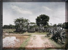 Image représentant Un monument champêtre environné d'agaves