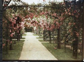 Image représentant Axe central du verger-roseraie vu vers la dépendance, après le rond-point proche du jardin français