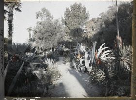 Image représentant Le Jardin (matin)