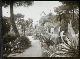 Image représentant le jardin