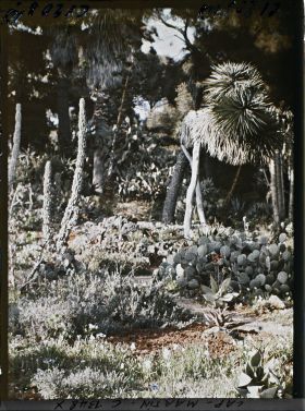 Image représentant Le jardin