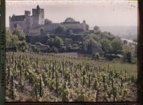 Image représentant France, Beynac, Le chateau et la Dordogne dans le fond à droite vignes au 1er plan