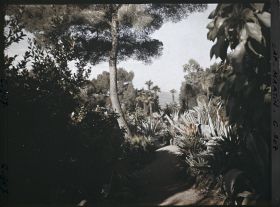 Image représentant Le Jardin pris le matin vers Monaco