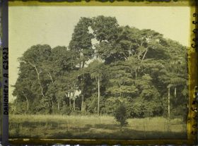 Image représentant Un bois sacré faisant office d'enclos fétichiste