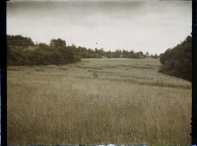 Image représentant Ile de France, Vallangoujard, Champ d'Avoine par Ciel Orageux