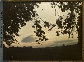 Image représentant Coucher de Soleil