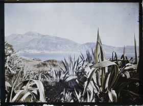 Image représentant Panorama sur Menton, vu depuis le rivage du cap Martin parsemé d'agaves