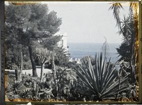 Image représentant le Jardin - la Villa