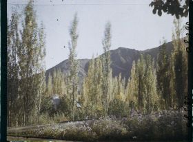 Image représentant Afghanistan, Kaboul, Jardin du Palais du Roi - Vue vers les Montagnes de Paghman