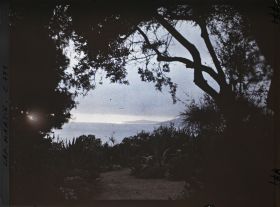 Image représentant le jardin (effet du soir)