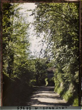 Image représentant Aspect des chemins aux alentours de la ville