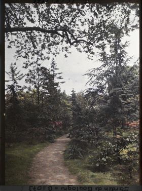 Image représentant Chemin menant vers le marais