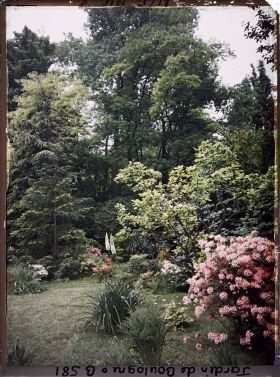 Image représentant Massif fleuri du marais, vu vers le sud-ouest ?