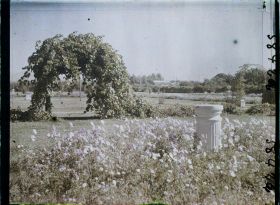 Image représentant Afghanistan, Kaboul, Un coin du Jardin des affaires Etrangères