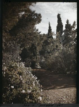 Image représentant allée partie basse du jardin