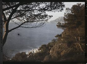 Image représentant le jardin