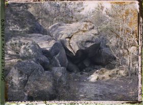 Image représentant France, Fontainebleau, Forêt de Fontainebleau