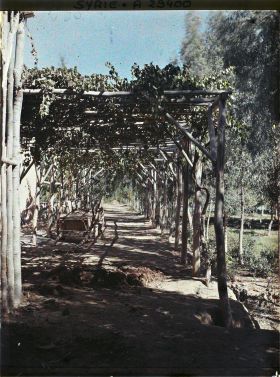 Image représentant Entrée d'une ferme