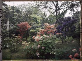 Image représentant Talus fleuri proche des " étangs " et situé au nord-est du marais