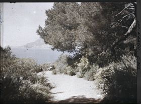 Image représentant Le Jardin échappée s/ Monaco