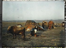 Image représentant Campement de réfugiés de Strumica