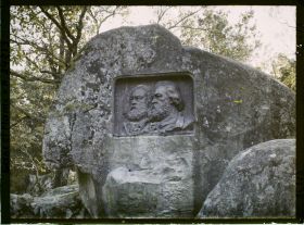 Image représentant Forêt