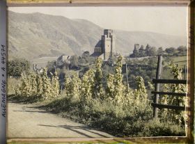 Image représentant Allemagne, Oberwesel, St Martin à travers les vignes