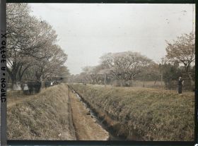 Image représentant Promenade à Koganei