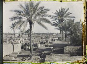 Image représentant Cimetière de la mosquée du Cheikh Marouf al-Karkhi