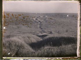 Image représentant Meuse, Mort-Homme, Tranchée Coupant le ravin des Courettes