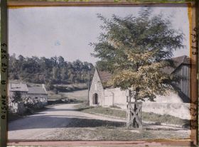 Image représentant France, Coeuvres et Valsery, Arbre de la Libérté planté le 11 Nov. 1919