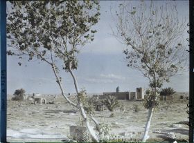 Image représentant Le grand cimetière Chiite