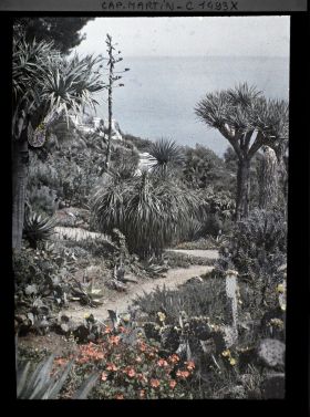 Image représentant Villa Kahn - le jardin et la terrasse de la villa à l'arrière-plan