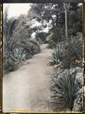 Image représentant Grande allée bordée de pierres, plantes exotiques et végétaux divers