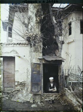 Image représentant Turquie, Alacheir, Un habitant dont la maison est détruite et ayant élu domicile dans un arbre creux