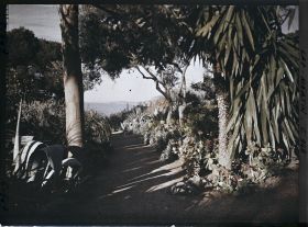 Image représentant Le Jardin (matin)