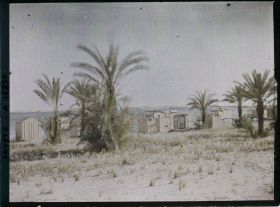 Image représentant Les bains au bord du lac Timsah