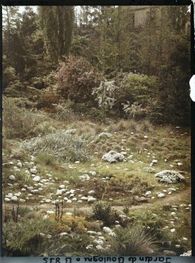 Image représentant Espace pierreux dégagé, au pied d'un vallon du " jardin chinois " proche du " sanctuaire japonais "