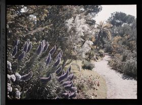 Image représentant Le jardin